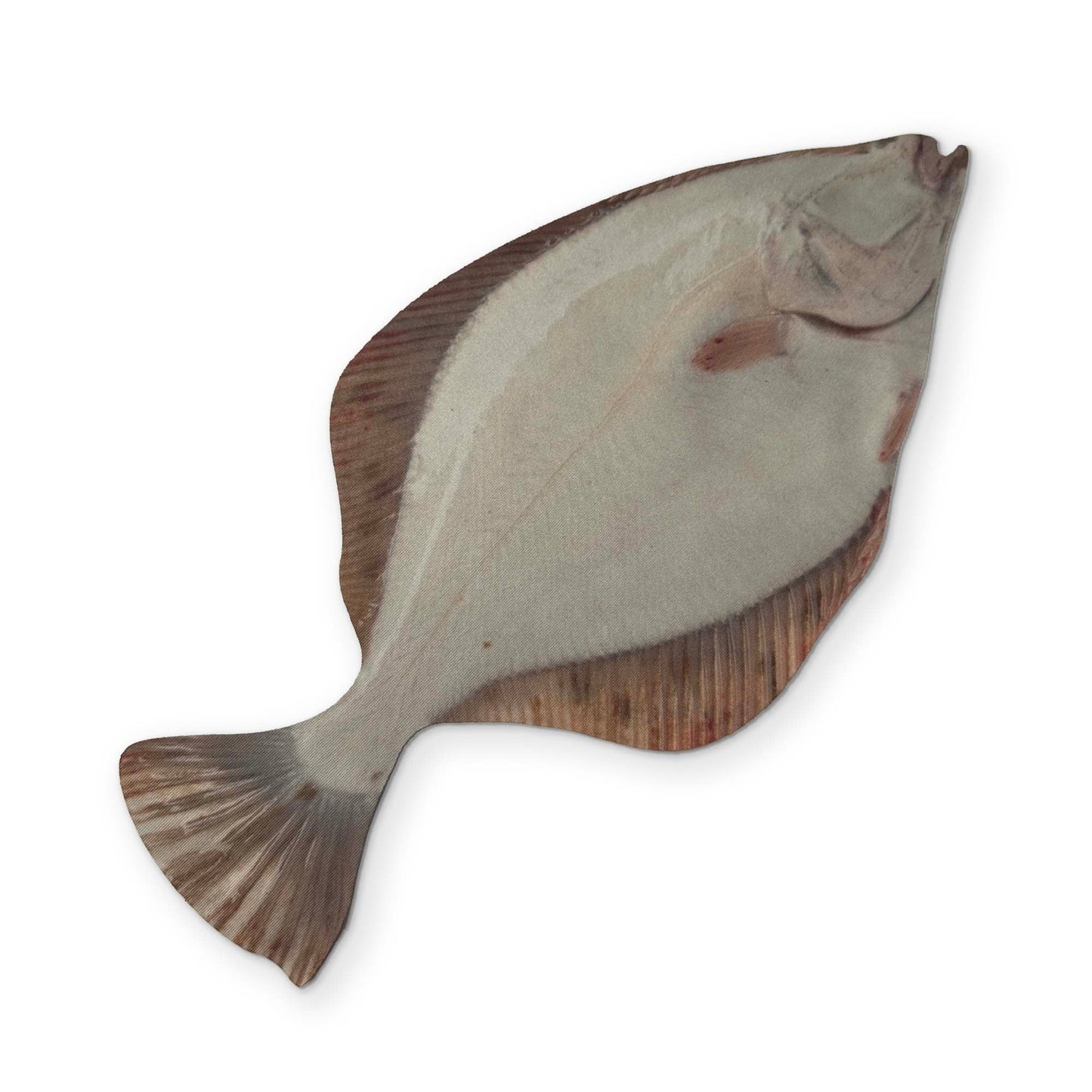 A FLOUNDER YOU CAN CLEAN YOUR GLASSES WITH