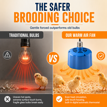 ❤️ Smart Chick Brooder Heater – Adjustable Temperature & Safe, Even Warmth