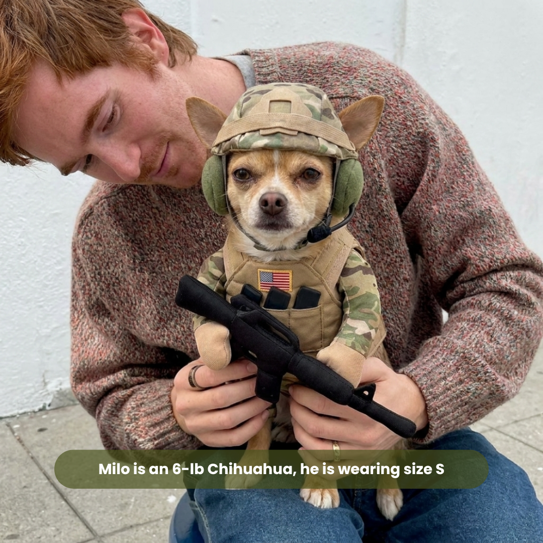 Real dog wearing tactical soldier costume
