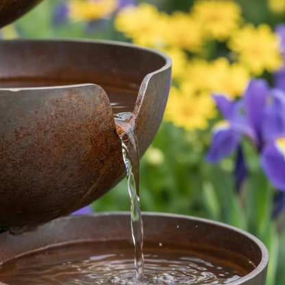 Bring Life Back To Your Garden 🌿🐦