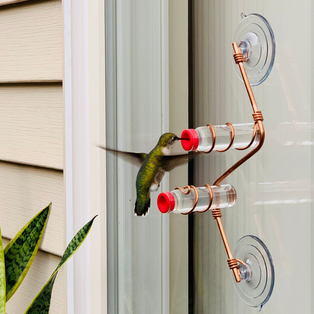 🌿 Window-Mounted Hummingbird Feeder | Geo 2.0 – Bring Birds Inches From Your Window