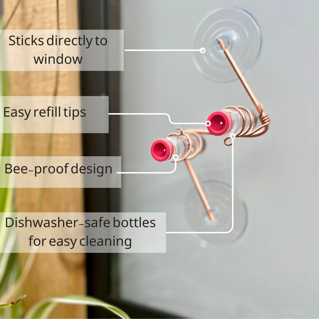 🌿 Window-Mounted Hummingbird Feeder | Geo 2.0 – Bring Birds Inches From Your Window