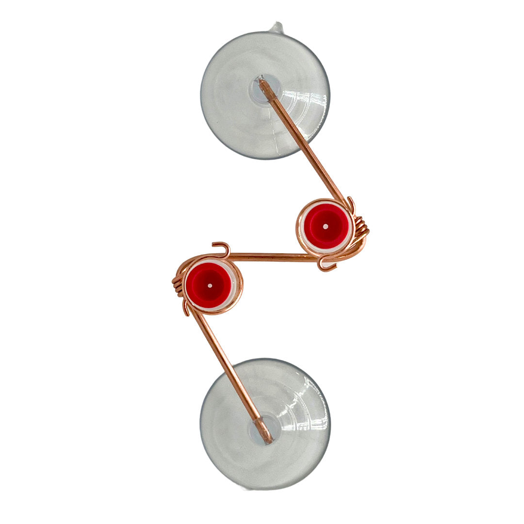 🌿 Window-Mounted Hummingbird Feeder | Geo 2.0 – Bring Birds Inches From Your Window