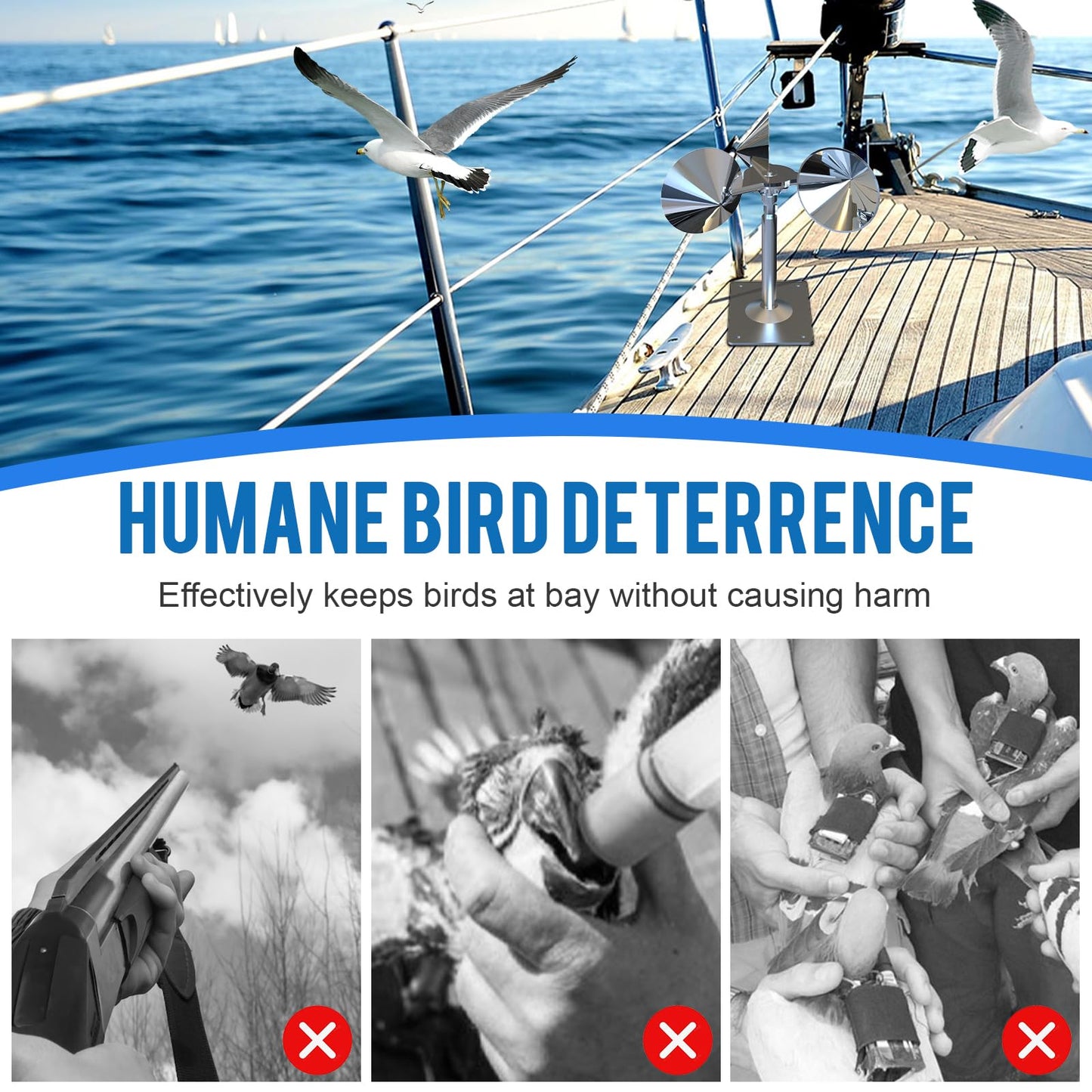 Keep Birds Away — Without Harm or Chemicals