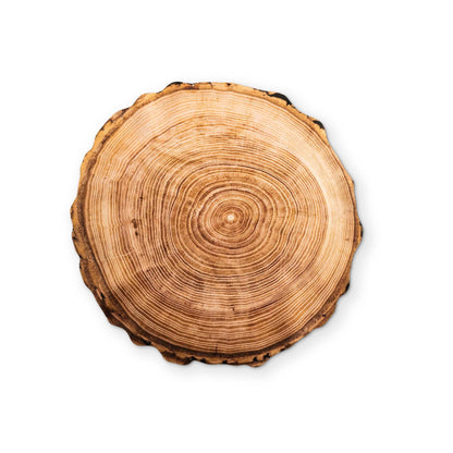 A PIECE OF WOOD YOU CAN CLEAN YOUR GLASSES WITH