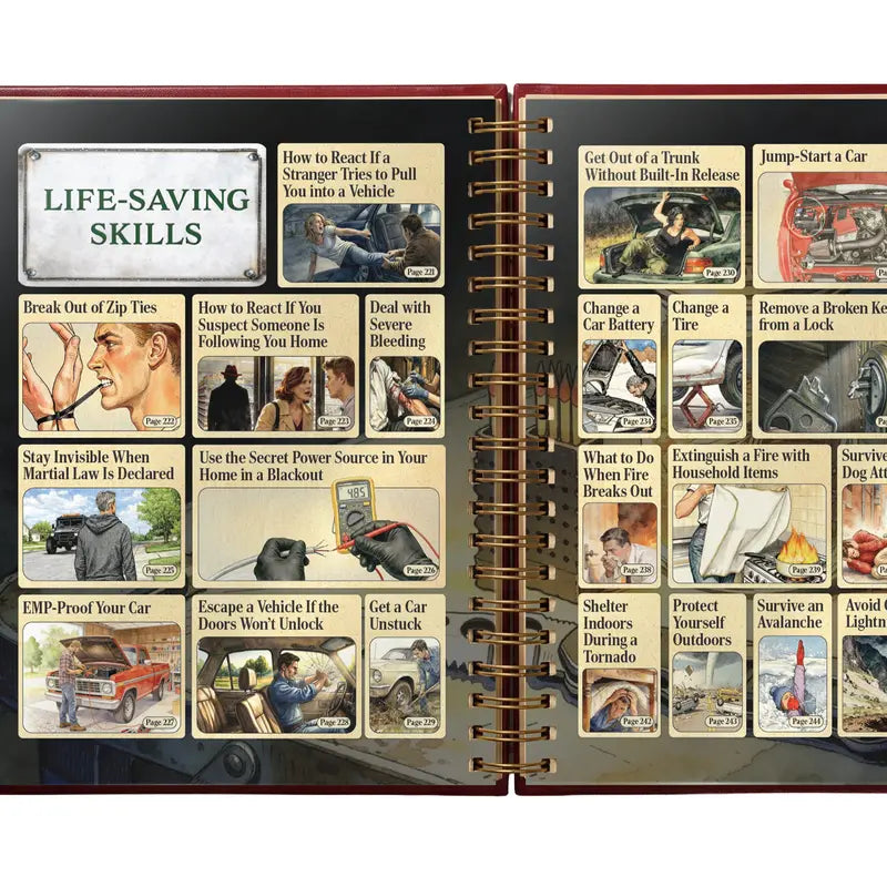 The Lost Skills of Independence product image 7