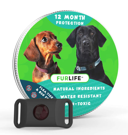 🐕12 Months Flea and Tick Free⏰