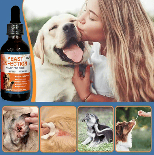 Puppy Yeast Relief Agent