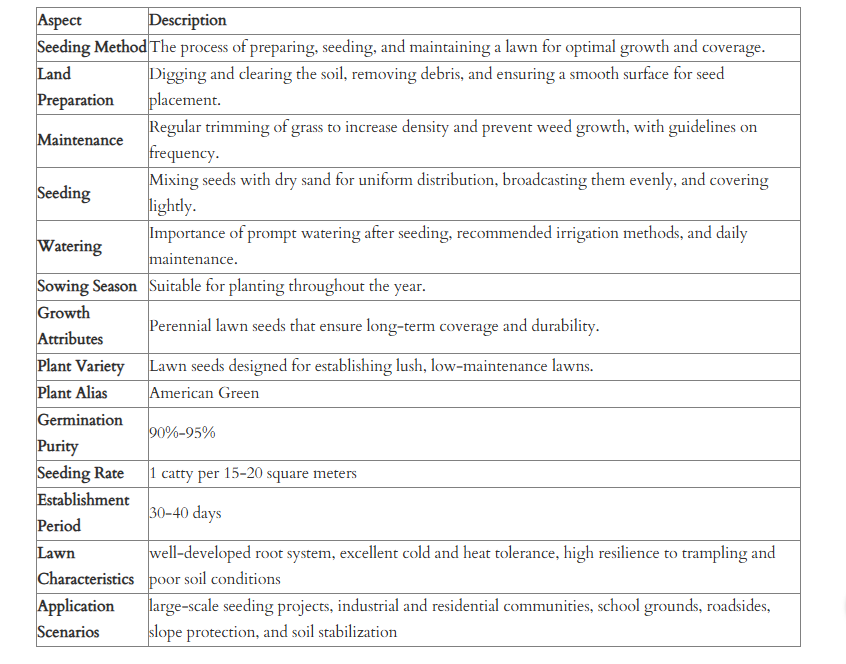 🌱 Evergreen dwarf grass seed for four seasons🌾 | Create your perfect lawn here🌼