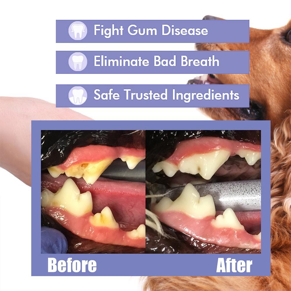 [⏰ Buy 1 Get 1 Free]Pet Tooth Cleaning Spray