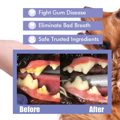 [⏰ Buy 1 Get 1 Free]Pet Tooth Cleaning Spray