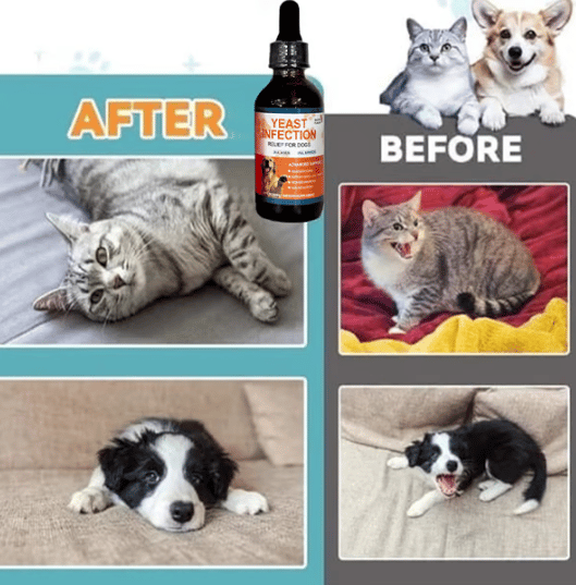 Puppy Yeast Relief Agent