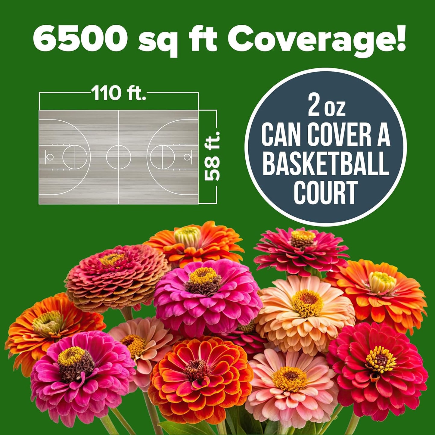 HOME GROWN Zinnia Seeds for 2026 - California Giant Mix - 7,300+ (2 oz) Plant Wildflower Blooms Bulk Seeds for Planting Flowers Outside