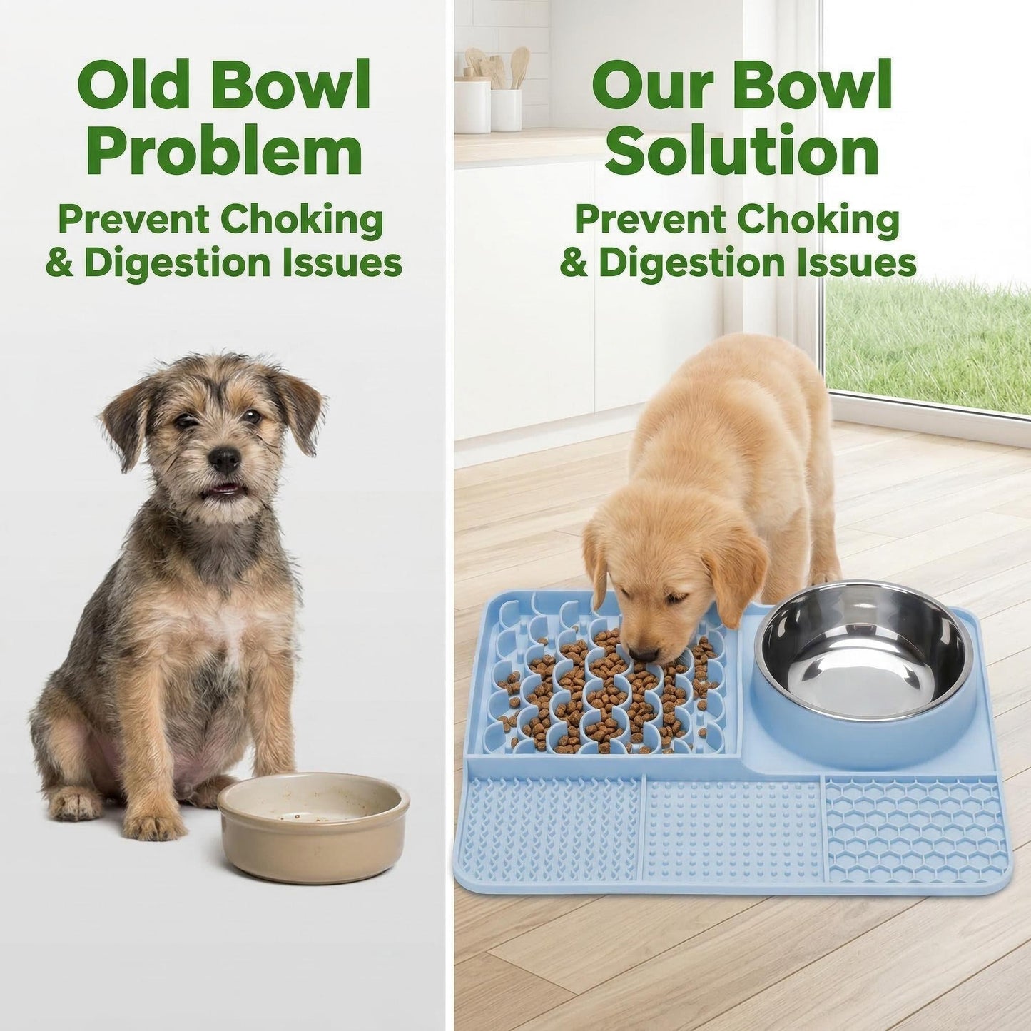 Stop Fast Eating. Protect Your Pet’s Health 🐾