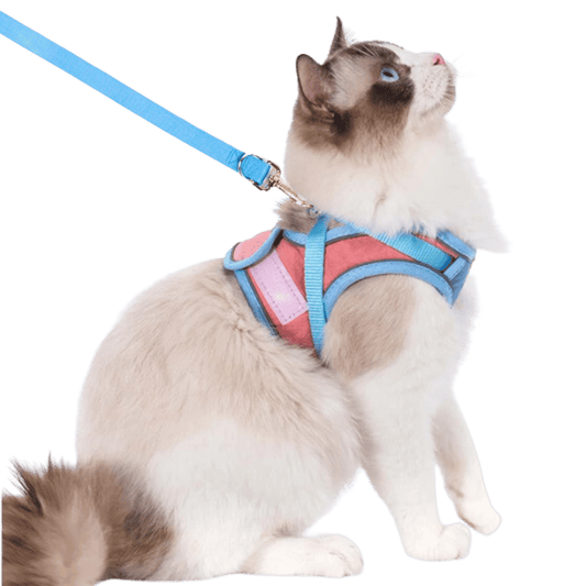 Cat Harness & Leash