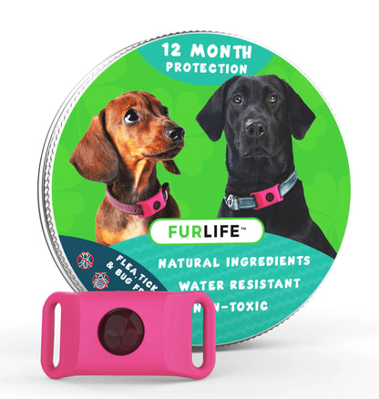🐕12 Months Flea and Tick Free⏰