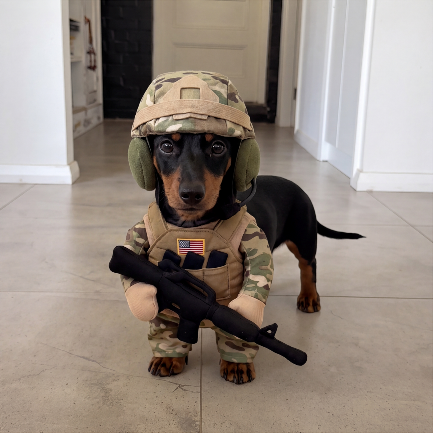 🔥 Limited-Time 50% OFF✨Pet Tactical Soldier Uniform