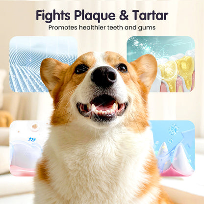 Teeth Cleaning Spray for Pets