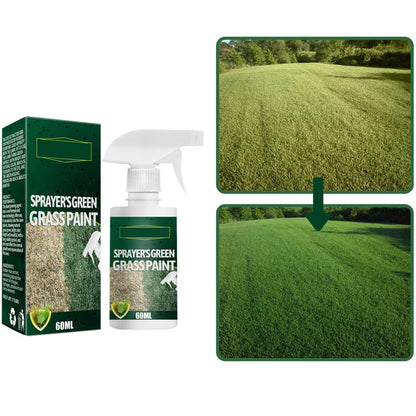 🔥Last Day Sale 49%🔥Green Grass Paint Spray🌿✅